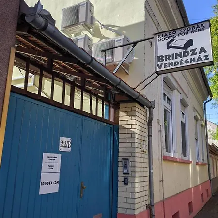 Brindza Vendeghaz Pensjonat Segedyn