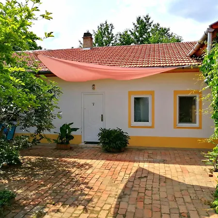 Brindza Vendeghaz Szeged