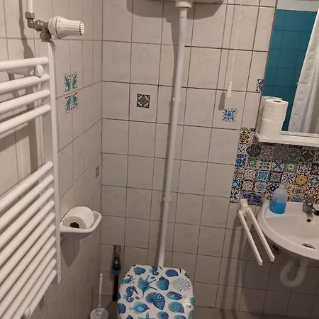 Brindza Vendeghaz Szeged