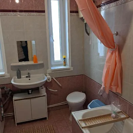 Brindza Vendeghaz Szeged