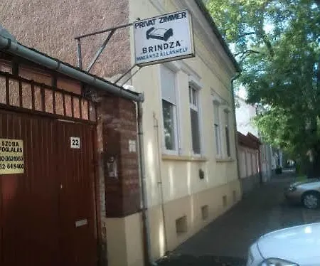 Brindza *