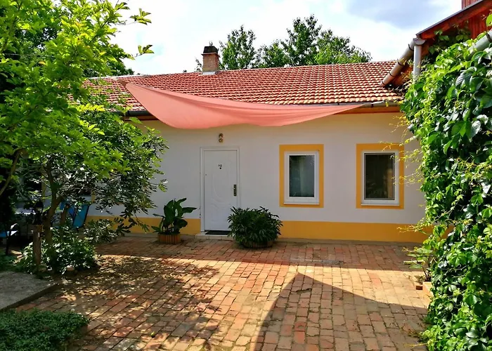 Brindza Szeged