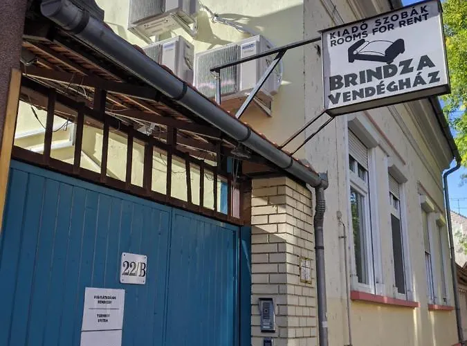 Brindza